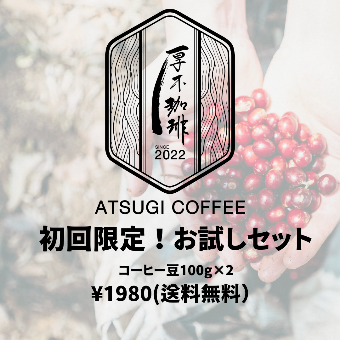 初回限定!お試しセット