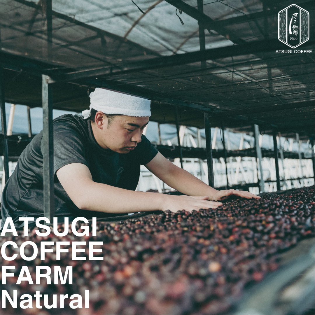 ATUSGI COFFE FARM飲み比べセット(50g×3種)