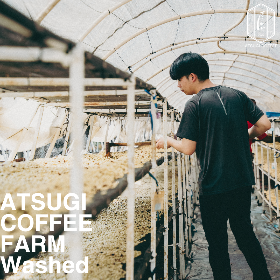 ATUSGI COFFE FARM飲み比べセット(50g×3種)