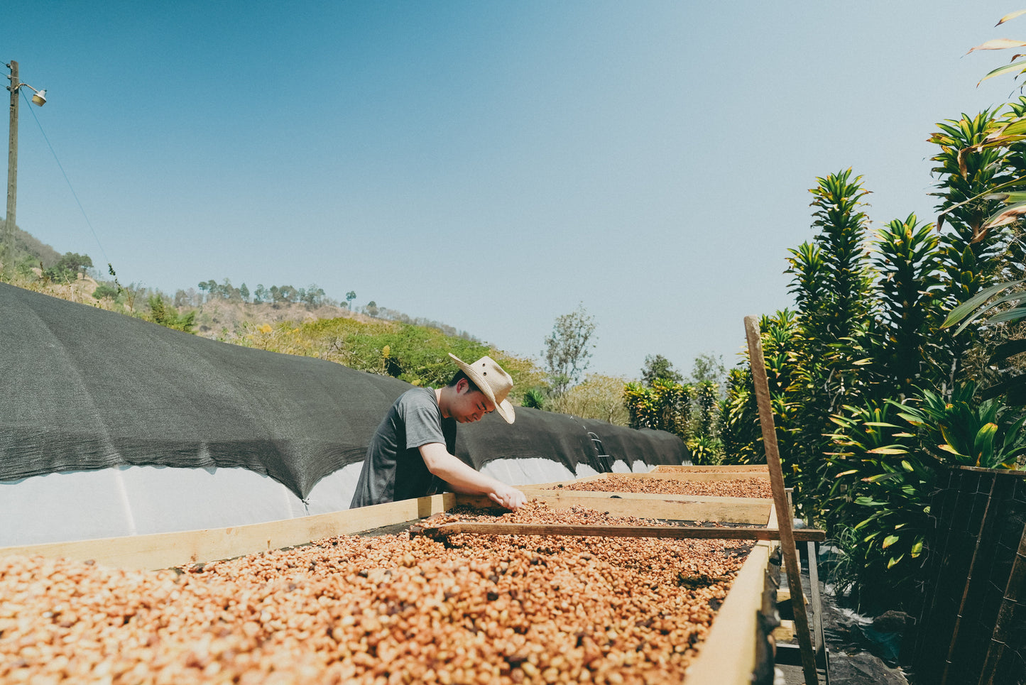 ATSUGI COFFEE FARM / Honey